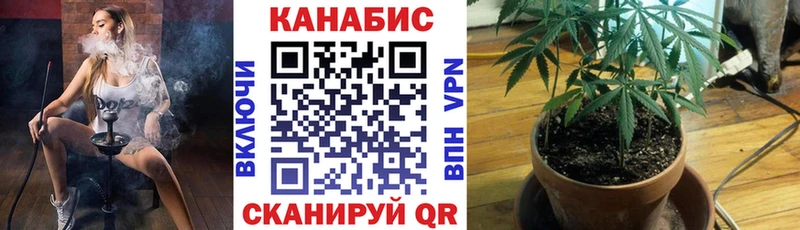 Как найти наркотики Сухой Лог COCAIN  Псилоцибиновые грибы  Меф мяу мяу  АМФЕТАМИН  Гашиш  Каннабис 