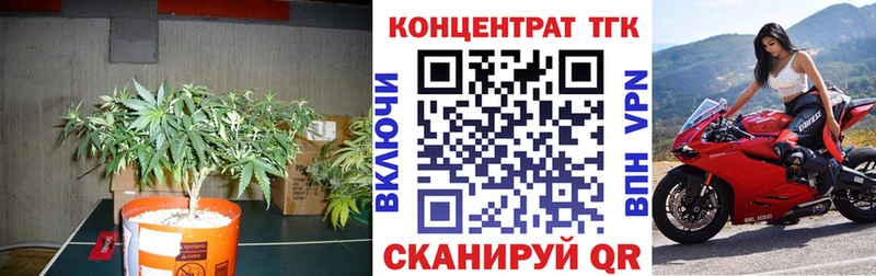 блэк спрут tor где продают наркотики Сухой Лог ТГК концентрат