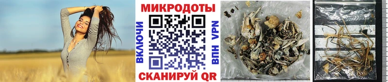 цены   blacksprut ТОР  Галлюциногенные грибы Psilocybine cubensis  Сухой Лог 