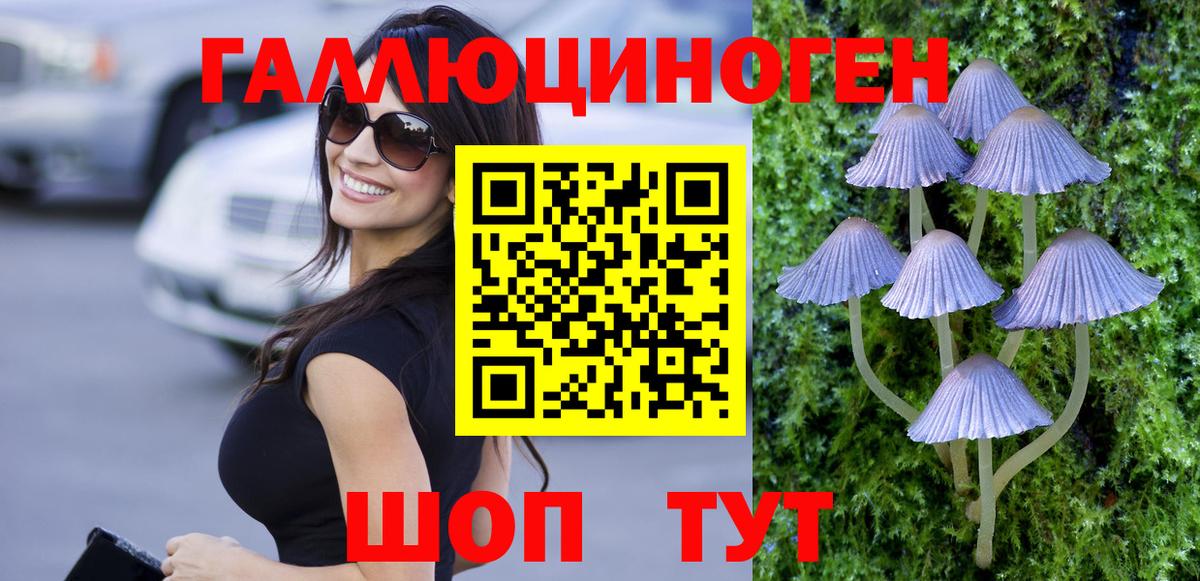 Псилоцибиновые грибы Psilocybine cubensis Сухой Лог